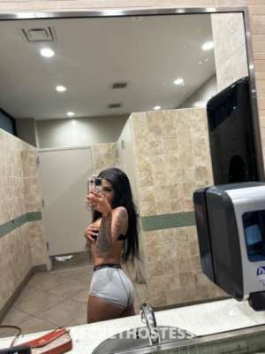 Kay 21Yrs Old Escort 157CM Tall Dallas TX Image - 3