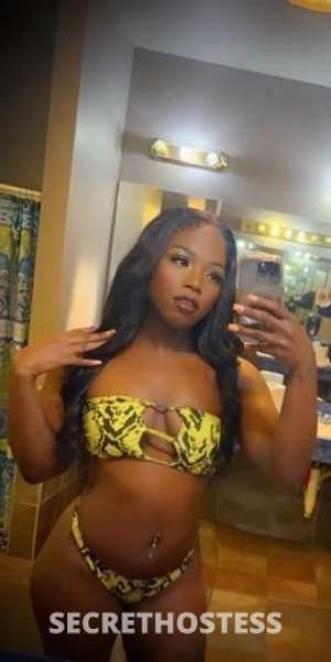 SASHA 23Yrs Old Escort Killeen TX Image - 0