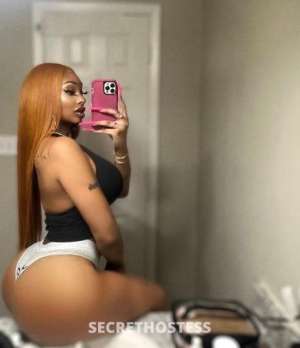 TSVixen 26Yrs Old Escort Montgomery AL Image - 4