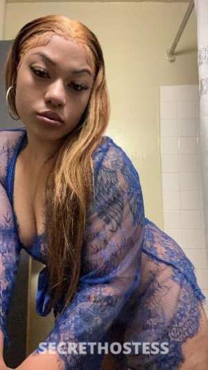 23Yrs Old Escort Bronx NY Image - 0