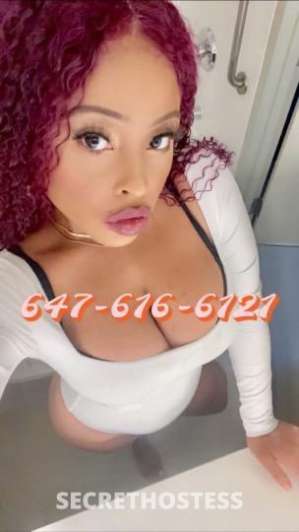 26 Year Old Cuban Escort Edmonton - Image 3