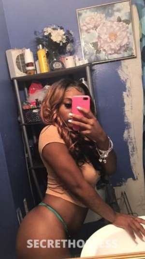 24Yrs Old Escort Detroit MI Image - 2