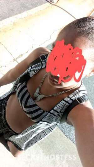 30Yrs Old Escort Raleigh-Durham NC Image - 7