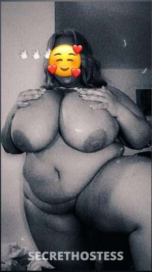 Chocolate BBW available heads are for visitors only, no  in Cincinnati OH