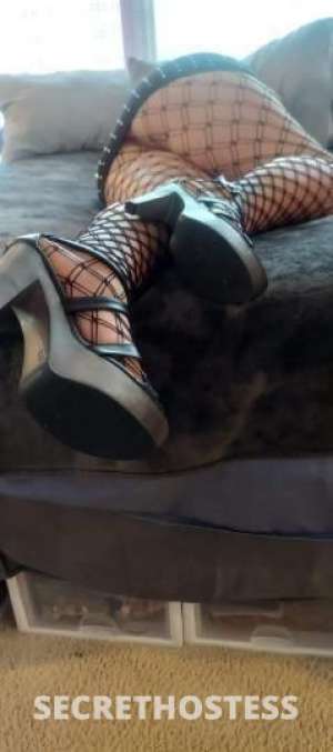 Chloegrey 31Yrs Old Escort Seattle WA Image - 8