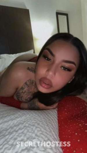 Daisy 21Yrs Old Escort North Bay CA Image - 2