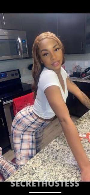 Glam 26Yrs Old Escort Austin TX Image - 10