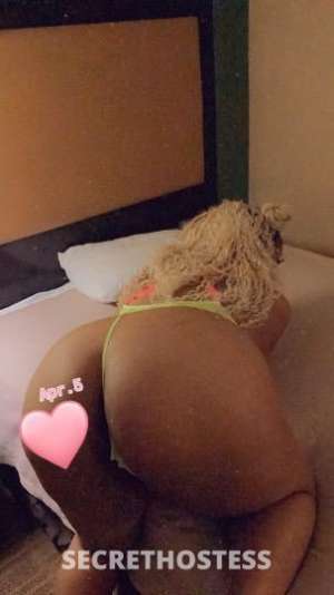 Starkeaha 27Yrs Old Escort North Mississippi MS Image - 9