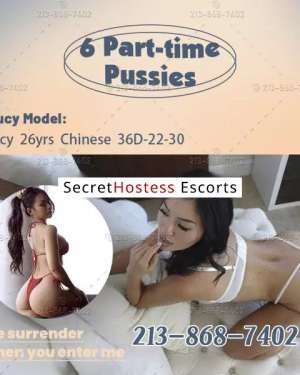 23 Year Old Asian Escort Chicago IL - Image 3