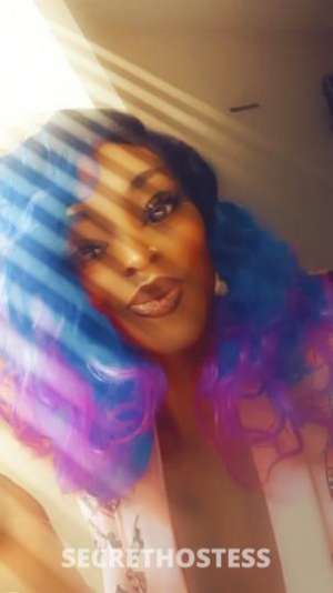 Aailyah 27Yrs Old Escort Valdosta GA Image - 10