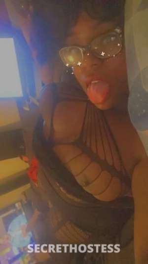 Gigi 24Yrs Old Escort Space Coast FL Image - 5