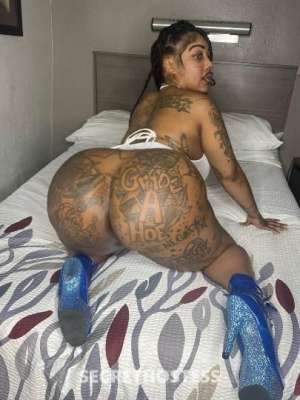 Kacydashxxx 26Yrs Old Escort Detroit MI Image - 0