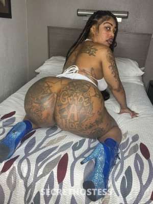 Kacydashxxx 26Yrs Old Escort Detroit MI Image - 1