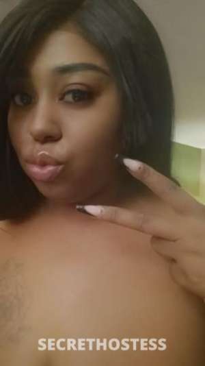 KimmyBluee 28Yrs Old Escort Oakland CA Image - 7