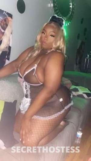 Kitty 25Yrs Old Escort Bronx NY Image - 4