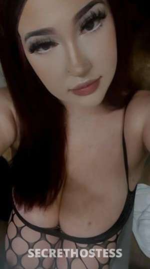 Lauren 25Yrs Old Escort Monterey CA Image - 6