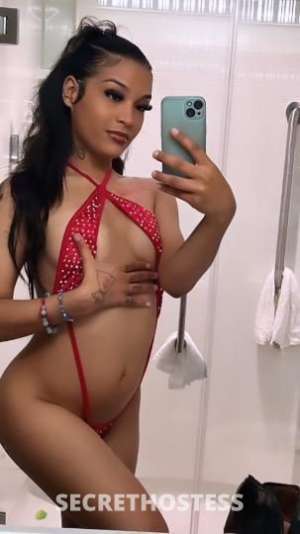 Liaa 21Yrs Old Escort Panama City FL Image - 3