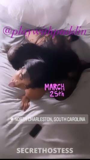 Puddin 22Yrs Old Escort Charleston SC Image - 4