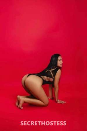 Shavelys 24Yrs Old Escort Boston MA Image - 1