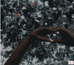 31 year old White Escort in Ipojuca Pernambuco Bocas de mel e molhadinha