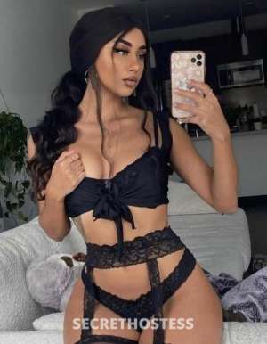 24 year old Caucasian Escort in Yuma AZ ..... .100hh incall special