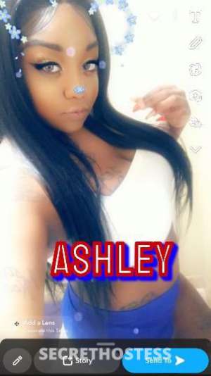 Ashley 27Yrs Old Escort Miami FL Image - 7