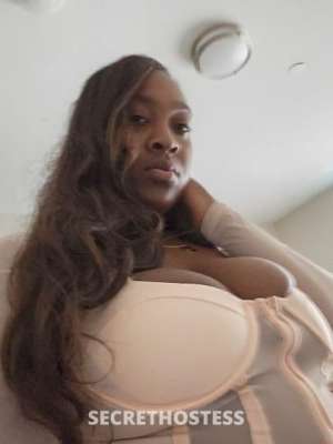 Mia 23Yrs Old Escort Bridgeport CT Image - 2