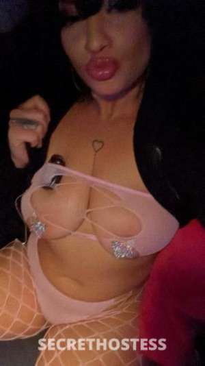 Sophie 24Yrs Old Escort San Jose CA Image - 10