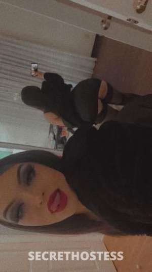 Sophie 24Yrs Old Escort San Jose CA Image - 11