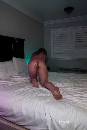 30 Year Old Caucasian Escort Nashville TN Blonde - Image 3