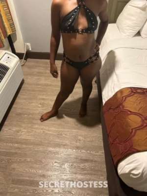 31Yrs Old Escort Miami FL Image - 0