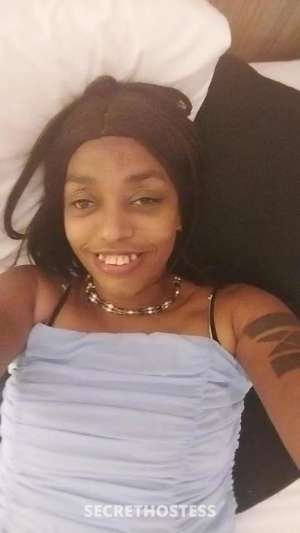 51Yrs Old Escort Sunshine Coast Image - 1