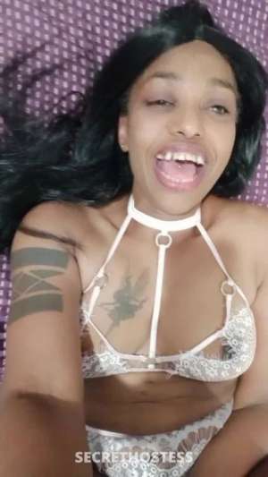 51Yrs Old Escort Sunshine Coast Image - 5