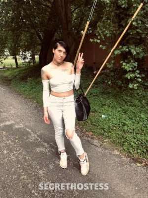 Amber 25Yrs Old Escort Saint Louis MO Image - 2