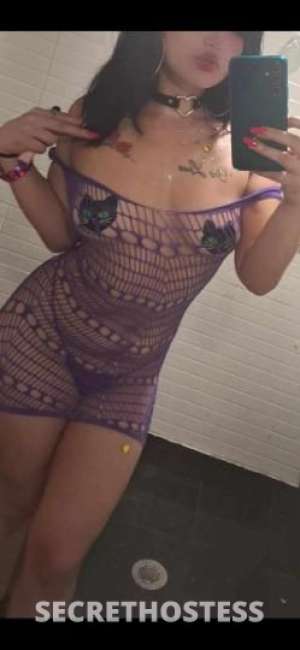 25 Year Old Latino Escort Miami FL - Image 1