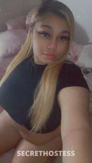 Lyla 24Yrs Old Escort San Diego CA Image - 0