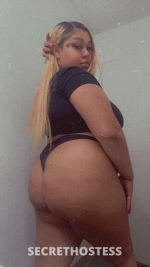 Lyla 24Yrs Old Escort San Diego CA Image - 2