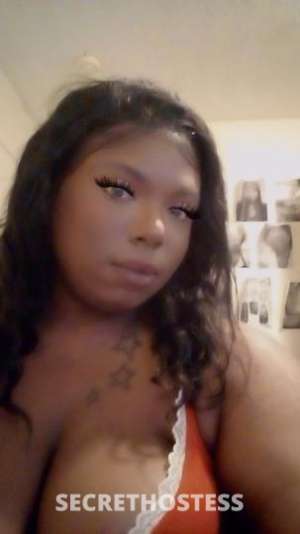 dadoll 25Yrs Old Escort Asheville NC Image - 5