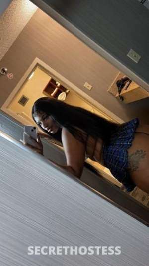 honey 24Yrs Old Escort Norfolk VA Image - 4