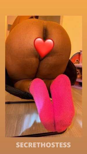 23Yrs Old Escort Bronx NY Image - 0