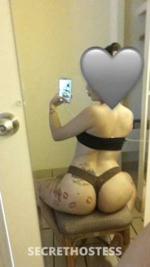 23Yrs Old Escort Northern Virginia DC Image - 3