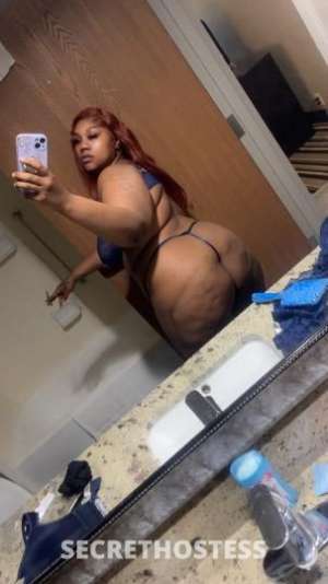 29Yrs Old Escort Albany GA Image - 1