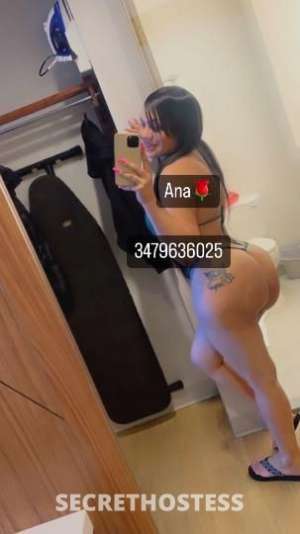 Anna 25Yrs Old Escort Long Island NY Image - 0