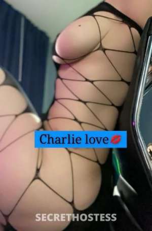 CharlieLove 47Yrs Old Escort Little Rock AR Image - 4