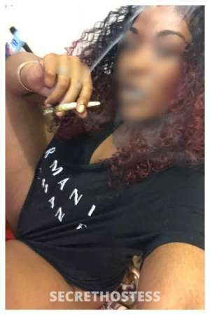 Cherry 27Yrs Old Escort Bronx NY Image - 1