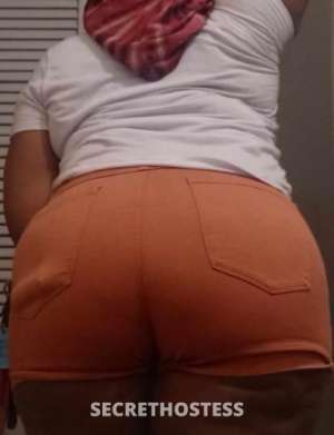 Dallas 27Yrs Old Escort Little Rock AR Image - 5