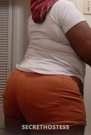 Dallas 27Yrs Old Escort Little Rock AR Image - 8