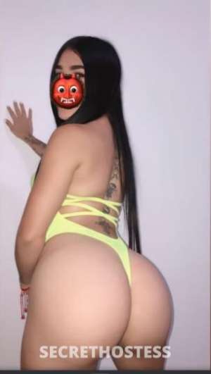 Daniela 24Yrs Old Escort Fort Collins CO Image - 3