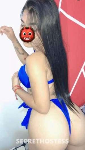 Daniela 24Yrs Old Escort Fort Collins CO Image - 4