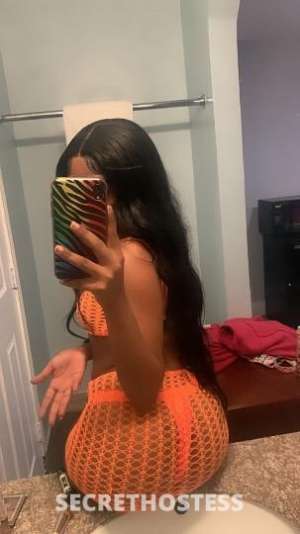 Diamond 20Yrs Old Escort San Diego CA Image - 2